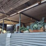 Verduleria San Expedito