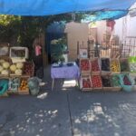 Verduler&iacute;a San Mart&iacute;n