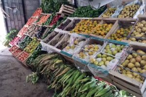 Verduleria San Mart&iacute;n