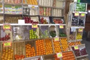 Verduler&iacute;a &ldquo;SIEMPRE VERDE&rdquo;