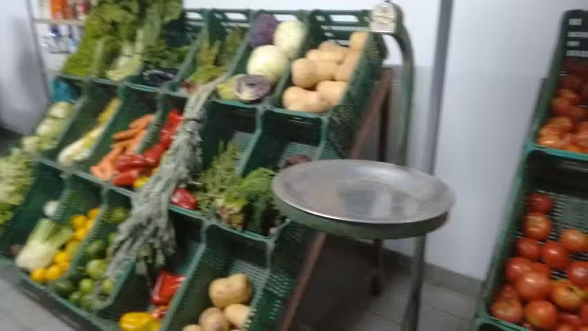 Verduler&iacute;a SUR