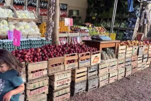 VERDULERIA TODO BARATO