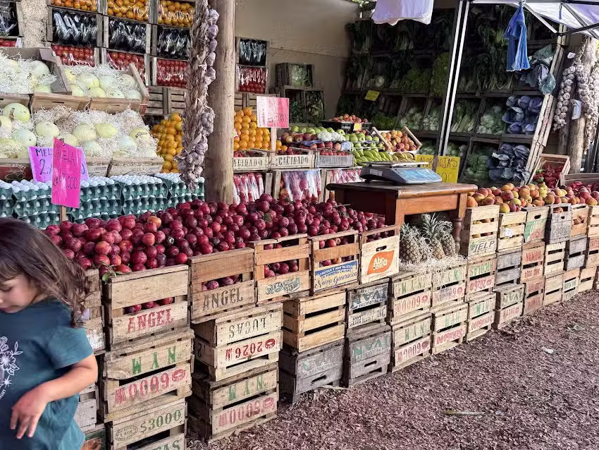 VERDULERIA TODO BARATO