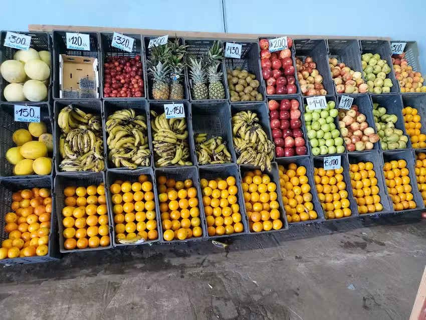 VERDULER&Iacute;A TROPEZ&Oacute;N