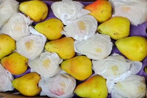 Verduleria tu media naranja