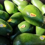 Verduler&iacute;a Urkupi&ntilde;a