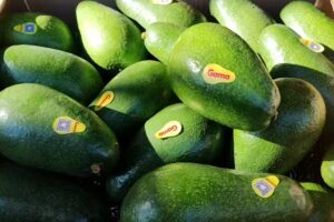 Verduler&iacute;a Urkupi&ntilde;a