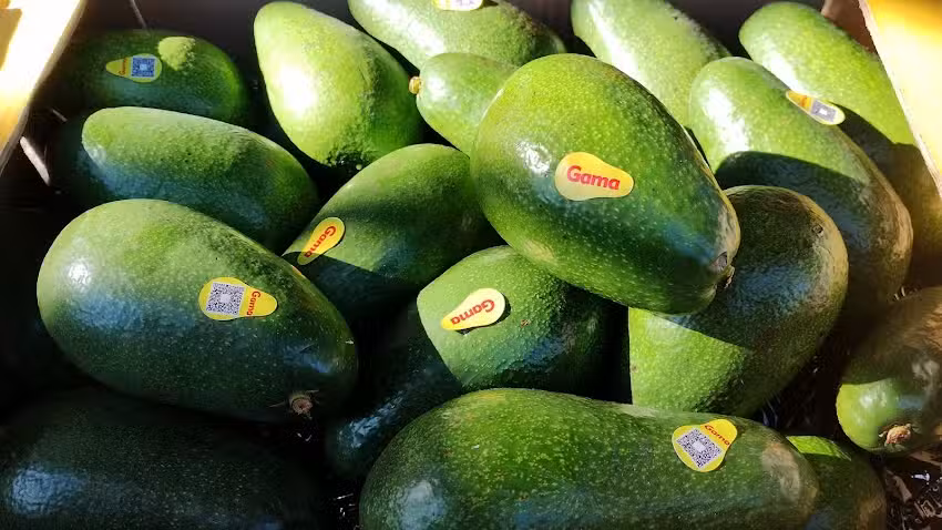 Verduler&iacute;a Urkupi&ntilde;a