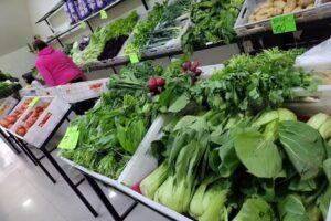 Verduleria valentina