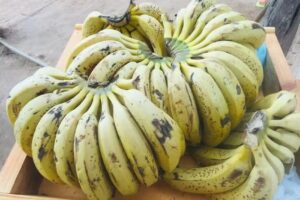 Verduleria Valentino