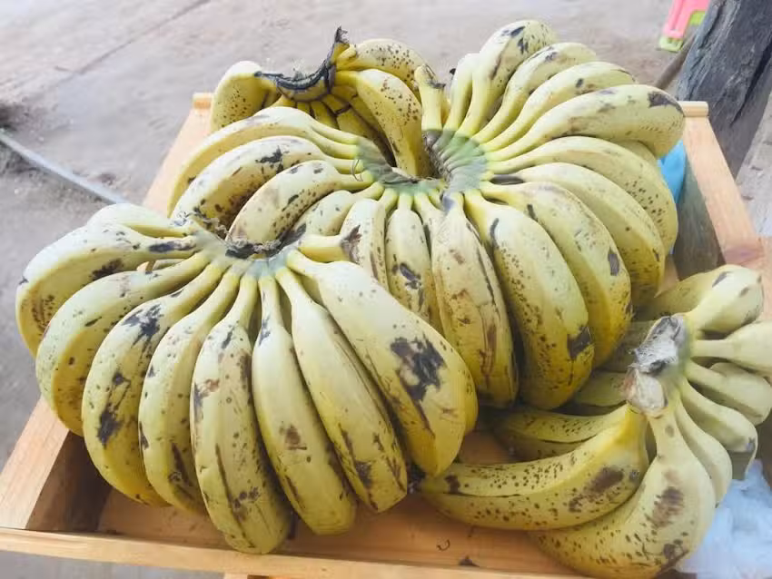 Verduleria Valentino