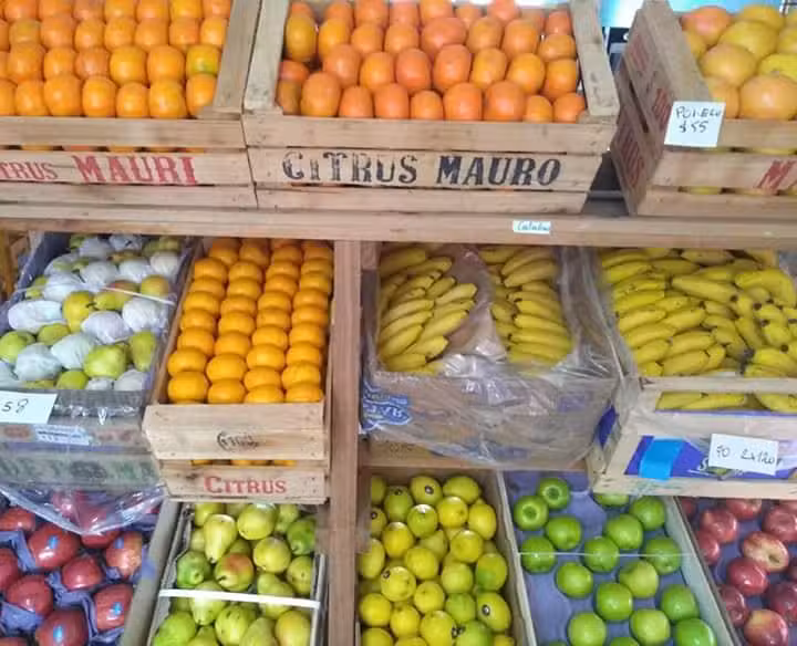 Verduleria verduleria