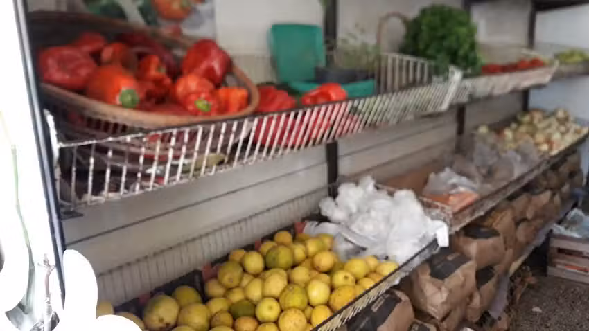 Verduler&iacute;a Vignolo