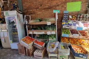 Verduler&iacute;a Virgen del Rosario