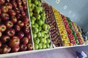 Verdulería Xiomi y Seba