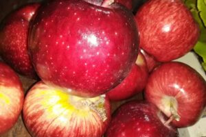 Verduleria y Almacén