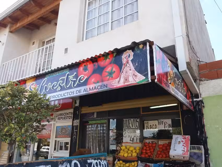 Verduleria y Autoservicio de Almac&eacute;n&rdquo;Silvestre&rdquo;