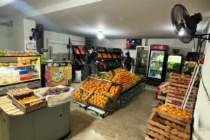 Verdulería y Carnicería 690