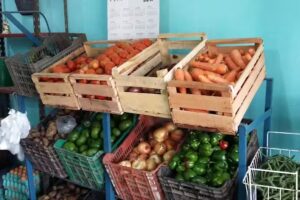 Verduler&iacute;a y Carnicer&iacute;a ARCO IRIS de Ale Arroyo