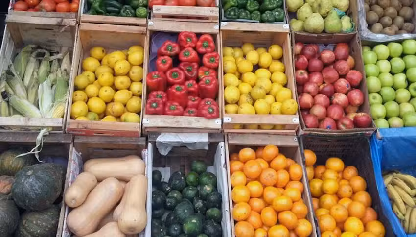 Verduler&iacute;a y carnicer&iacute;a La Familia Ta