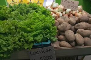 Verduler&iacute;a y Cortes de Cerdo