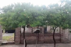 Verduleria Y Fruteria