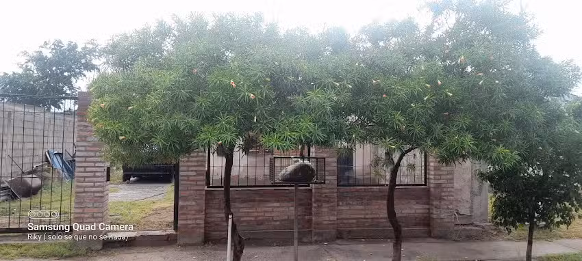 Verduleria Y Fruteria