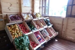 VERDULERIA Y FRUTERIA