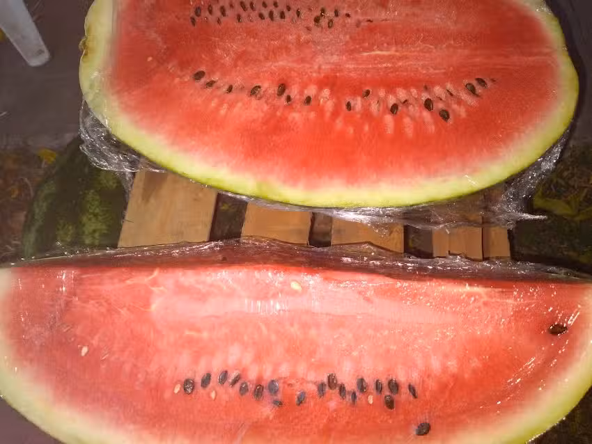 Verduleria Y Fruteria