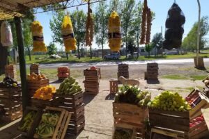 Verdulería y frutería !