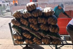 Verduleria y frutería A & A