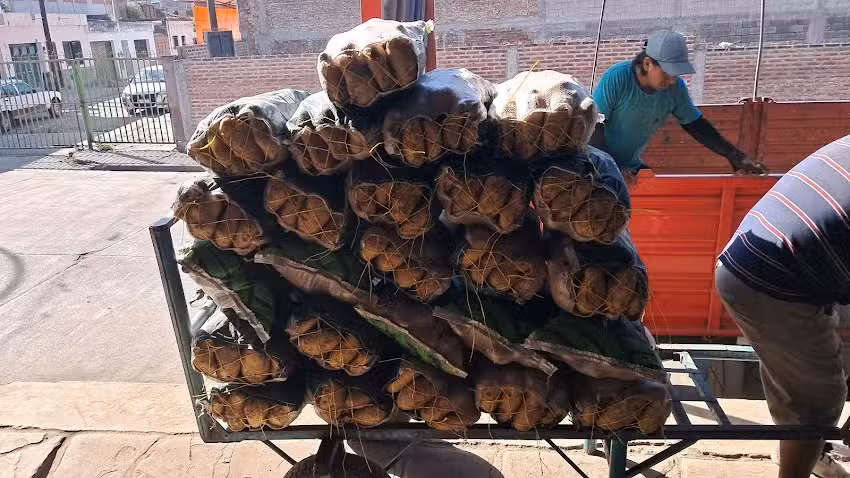 Verduleria y fruter&iacute;a A & A