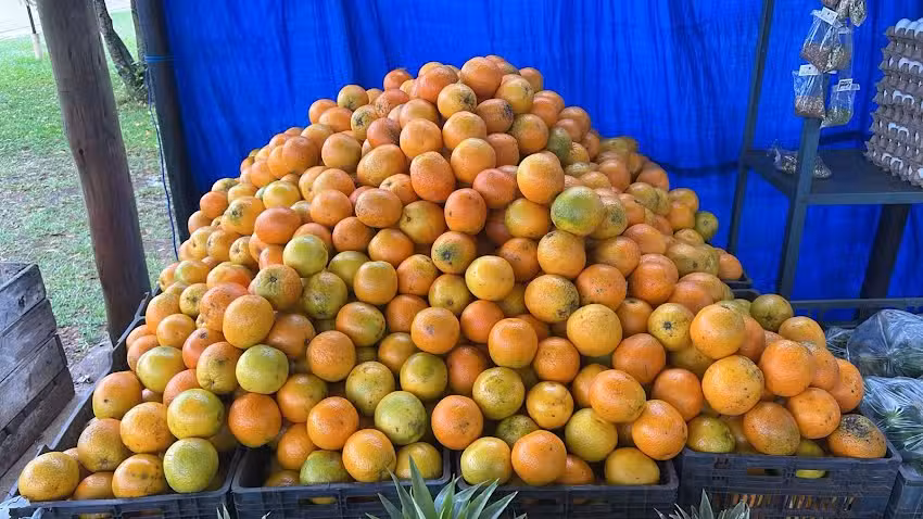 Verduler&iacute;a y Fruter&iacute;a A&A