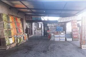 Verduleria y fruteria: Benjamin