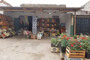 Verdulería y frutería Carla y Matías