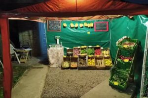 Verduleria y Fruter&iacute;a &ldquo;El Abuelo&rdquo;