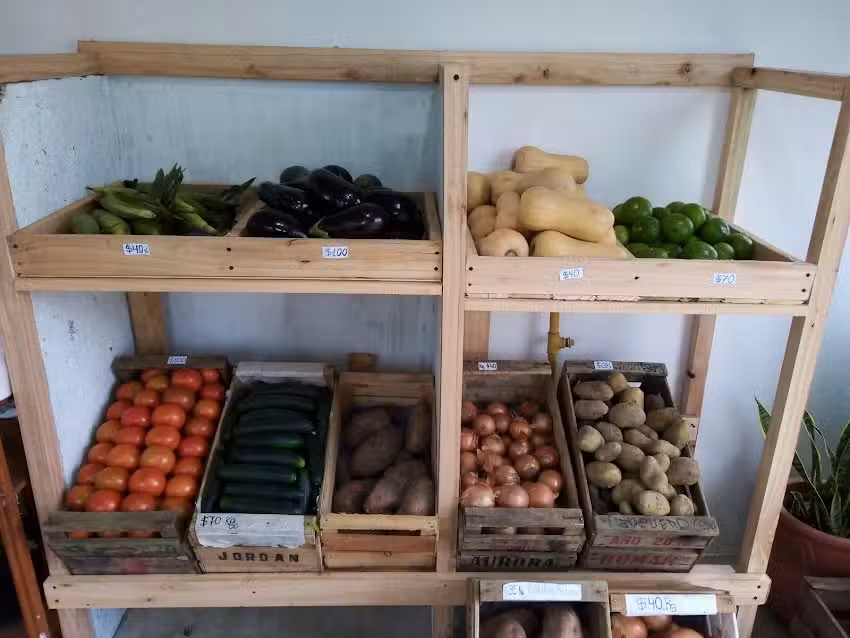 Verduler&iacute;a y Fruter&iacute;a &ldquo;El Huertero&rdquo;