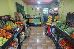 Verdulería y Frutería “El Manantial”