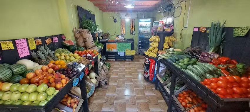 Verduler&iacute;a y Fruter&iacute;a &ldquo;El Manantial&rdquo;