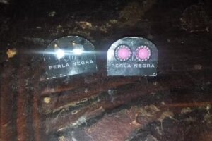 Verduler&iacute;a y Fruter&iacute;a &ldquo;El Pelado&rdquo; de Jose Ruiz Diaz