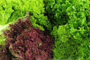 Verduleria y fruteria. ELENA