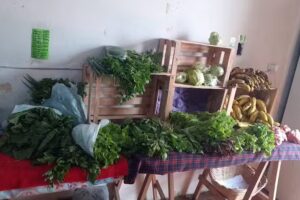 Verduleria y Fruter&iacute;a Evelin