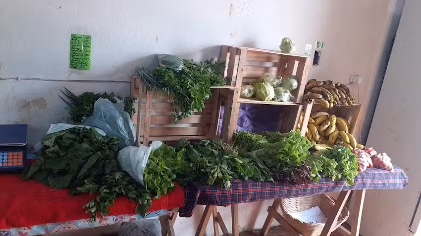 Verduleria y Fruter&iacute;a Evelin