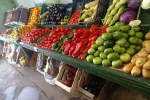 Verduler&iacute;a Y Fruter&iacute;a Joel II