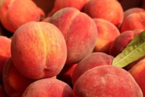 Verduleria y Fruter&iacute;a LIBERTAD