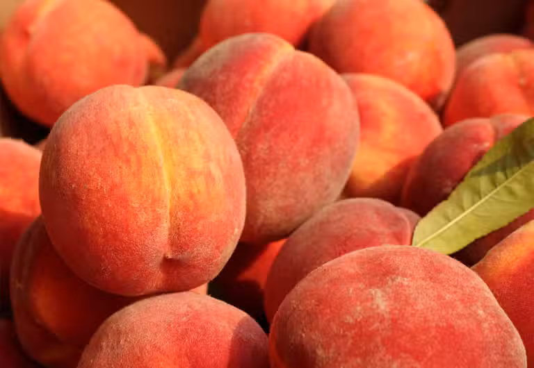 Verduleria y Fruter&iacute;a LIBERTAD