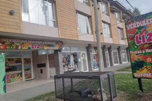 Verduleria y frutería “liz”