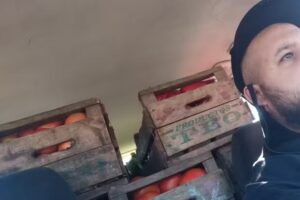 Verduleria y fruteria lo de maxi