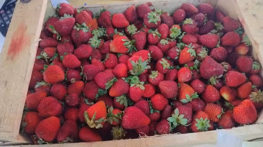 Verduler&iacute;a y fruteria LOS ABUELOS J y G