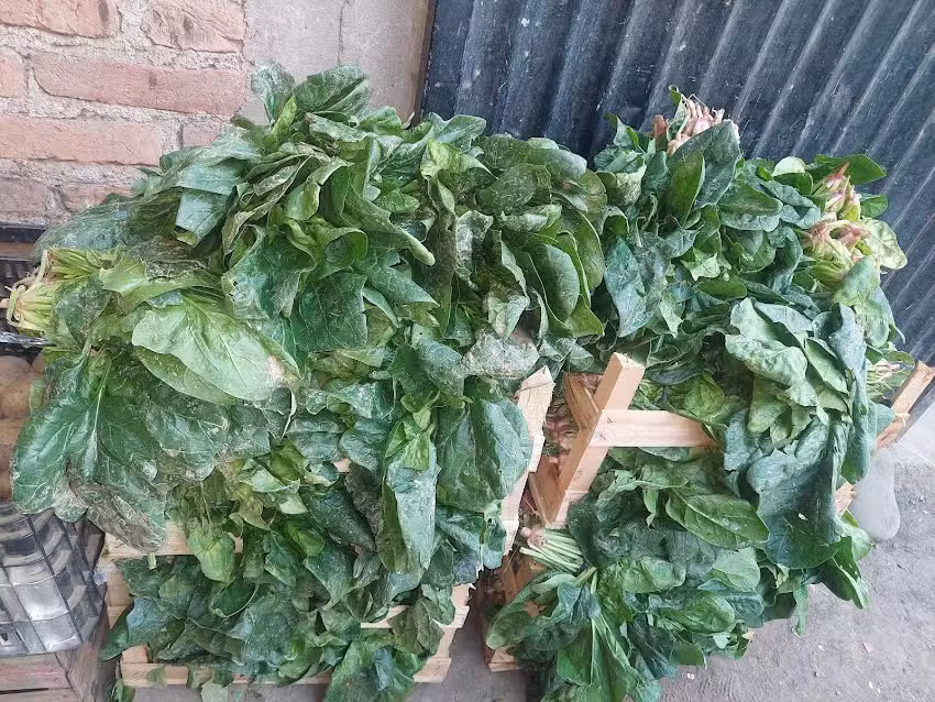 Verduleria Y Fruteria Los Hermanitos Guerrero